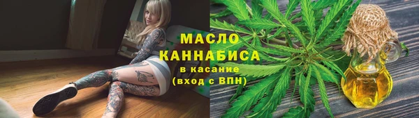 гидра Богородицк