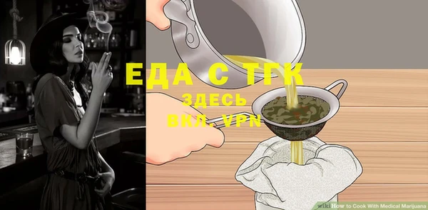 гидра Богородицк