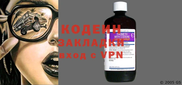 гидра Богородицк