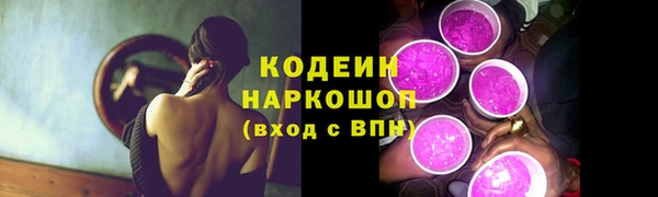 гидра Богородицк