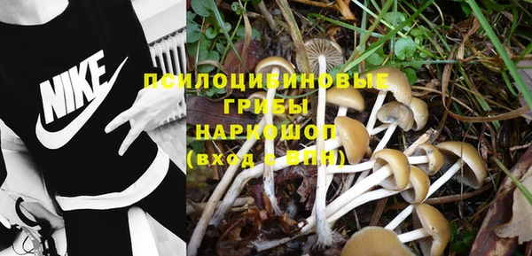 прущие крисы Богданович