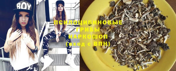 прущие крисы Богданович