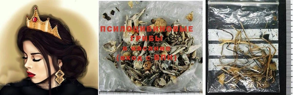 гидра Богородицк