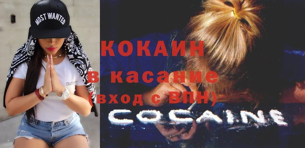 гидра Богородицк