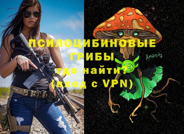 гидра Богородицк