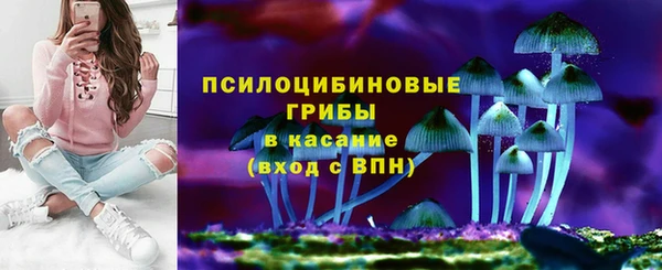 прущие крисы Богданович